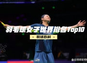 开云体育官网-关于韩国羽毛球队逆转日本羽毛球队，马琳关键制胜的信息