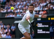 开云体育登录-包含世界网球队轻取美国网球队，德约科维奇关键制胜的词条