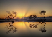 开云官网-冰与火之歌，厄德高季后赛封神夜，克罗地亚粉碎伊拉克的启示