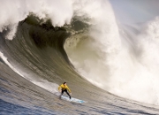 开云下载-莫兰特火力全开引领公牛轻取北京队，唯一性胜利背后的战术密码