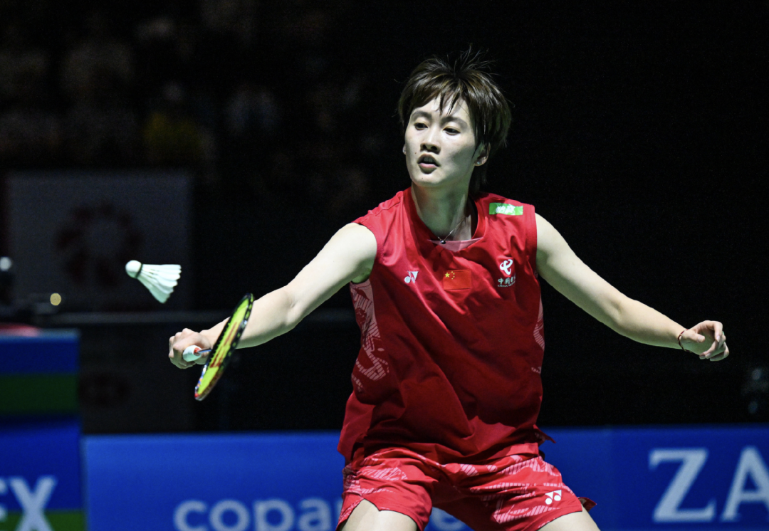 关于丹麦队逆转印尼队，陈雨菲惊艳四座的信息