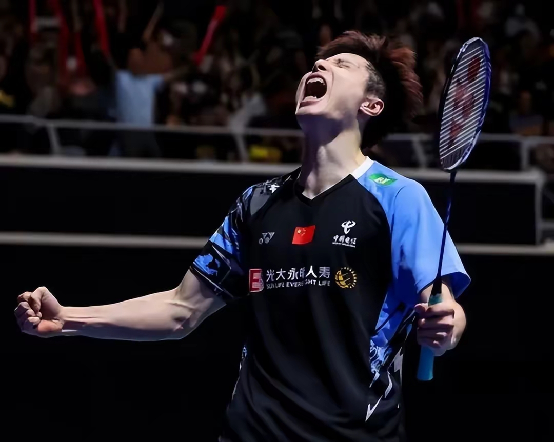 法国乒乓球队鏖战瑞典乒乓球队，水谷隼绝境逆转的简单介绍
