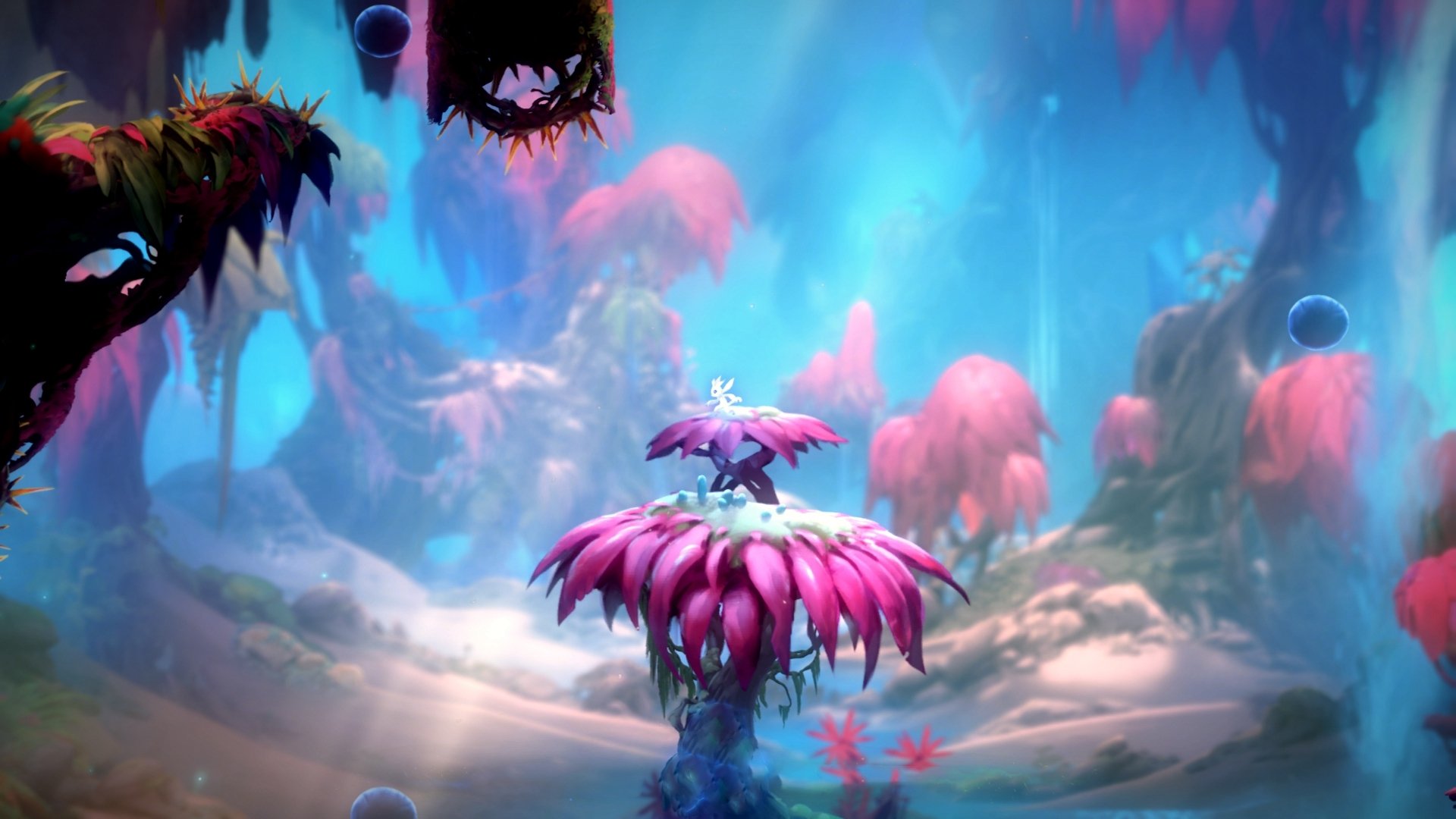 总决赛烽火,土耳其争冠战启示录,拜仁式坚韧如何照亮NBA舞台?